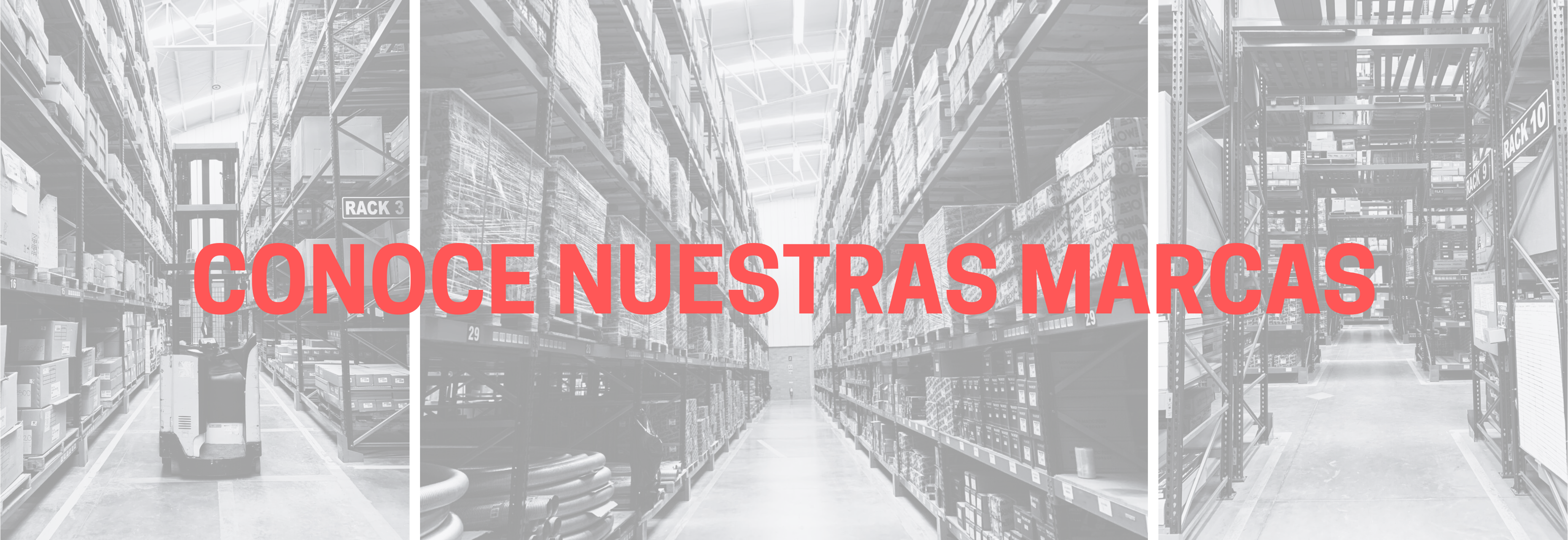conoce nuestras marcas