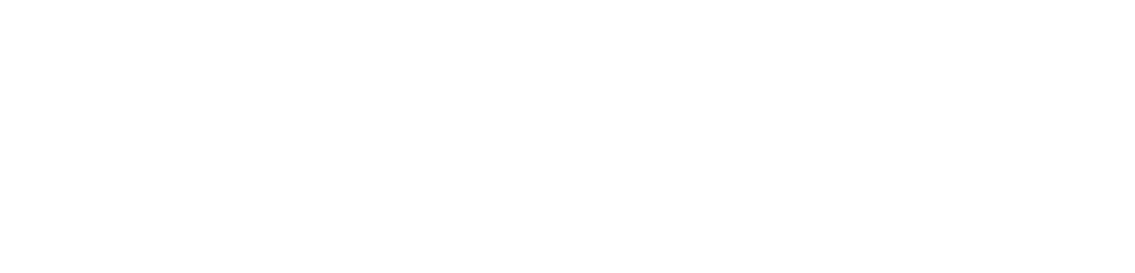 Logotipo transparente de Paxis