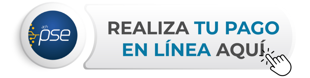 Realiza tu pago en línea